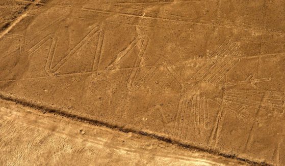 This photo shows an aerial view of a geoglyph representating a flamingo at Nazca Lines in Peru on Dec. 11, 2014.