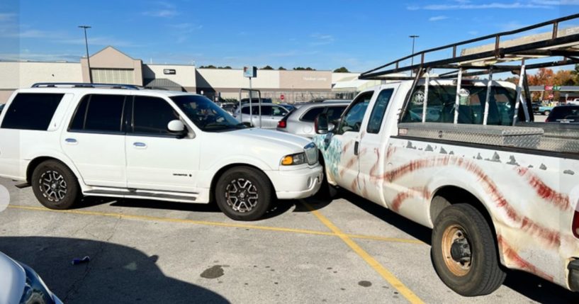 A "reckless driver" hit two cars in a Walmart parking lot in Kilgore, Texas, on Thursday, but the driver wasn't who - or what - police expected.