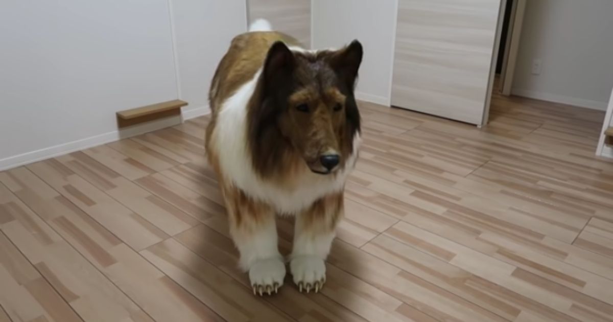 A Japanese man spent thousands of dollars on a hyper-realistic dog costume.
