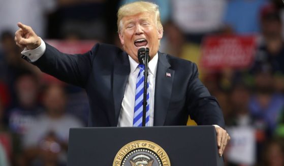 Then-President Donald Trump speaks at a rally in Charleston, West Virginia, in 2018.