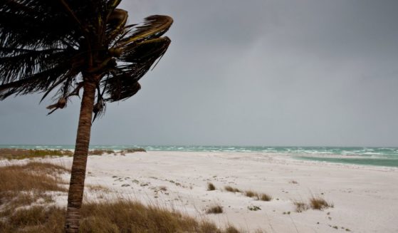 The above image is of stormy weather on the beach at Anna Maria Island, Florida.