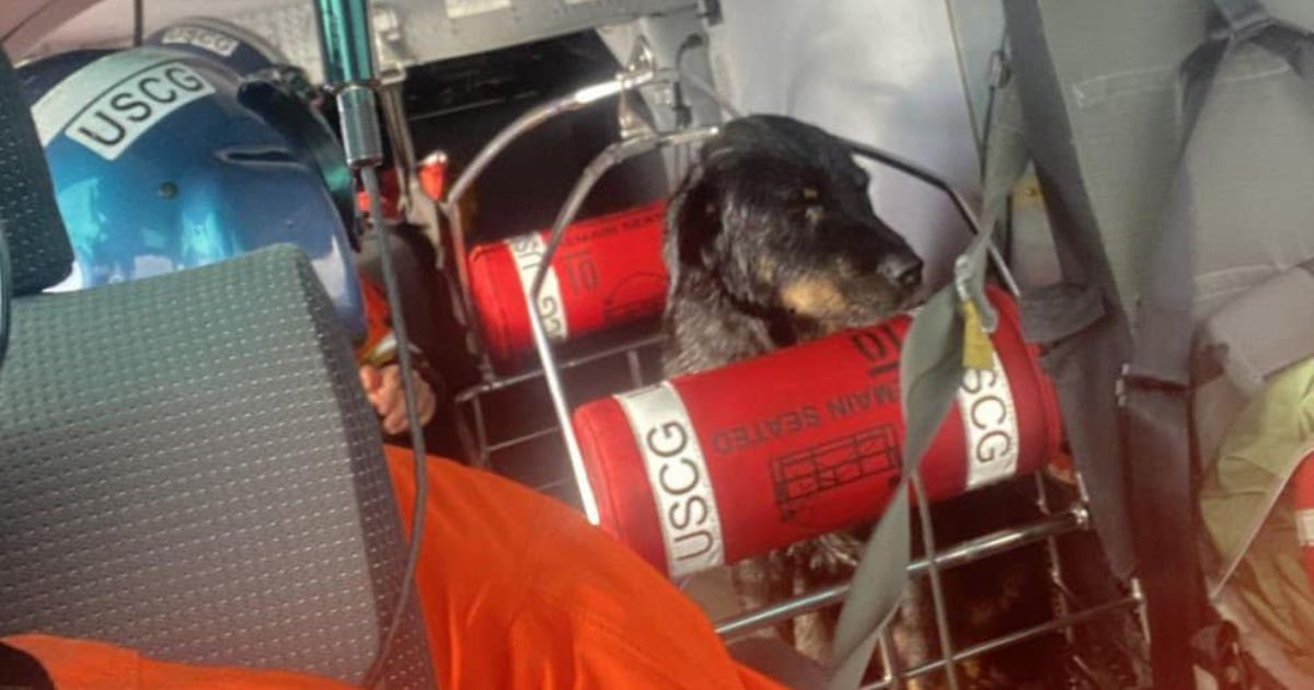 A dog and man were rescued after experiencing problems of the coast of Vancouver Island, British Columbia.
