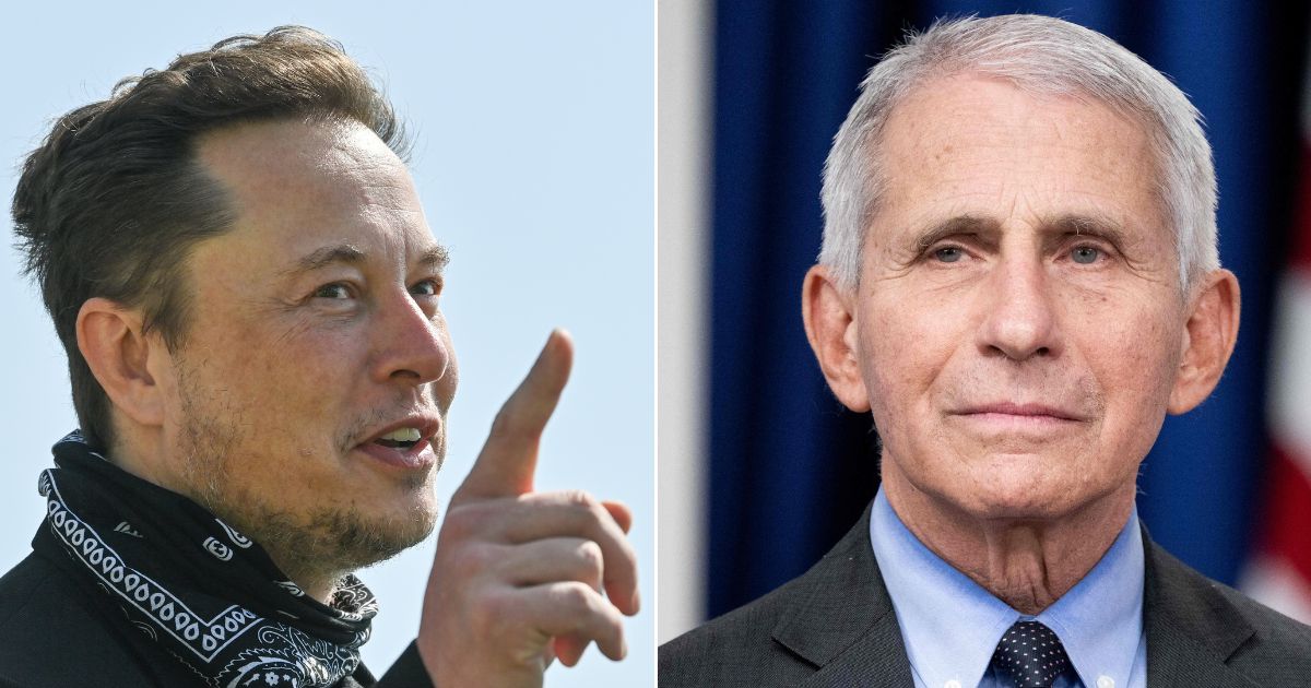 Twitter owner Elon Musk, left, comments about Dr. Anthony Fauci, right, in a recent tweet.
