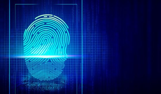 The above stock image is of an illustration of a fingerprint.