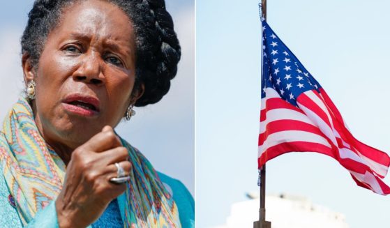 Democratic Rep. Sheila Jackson Lee used a trashcan to transport an American flag.