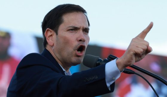 Republican Sen. Marco Rubio of Florida speaks during a rally before the arrival of former President Donald Trump at the Miami-Dade Country Fair and Exposition in Miami on Nov. 6.