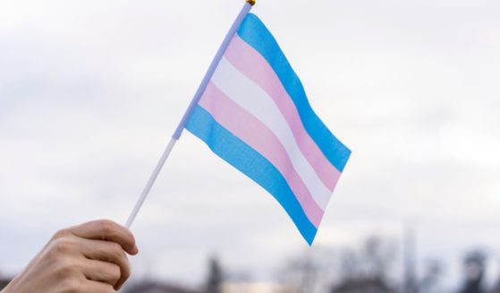A man holds a transgender flag in this stock image.