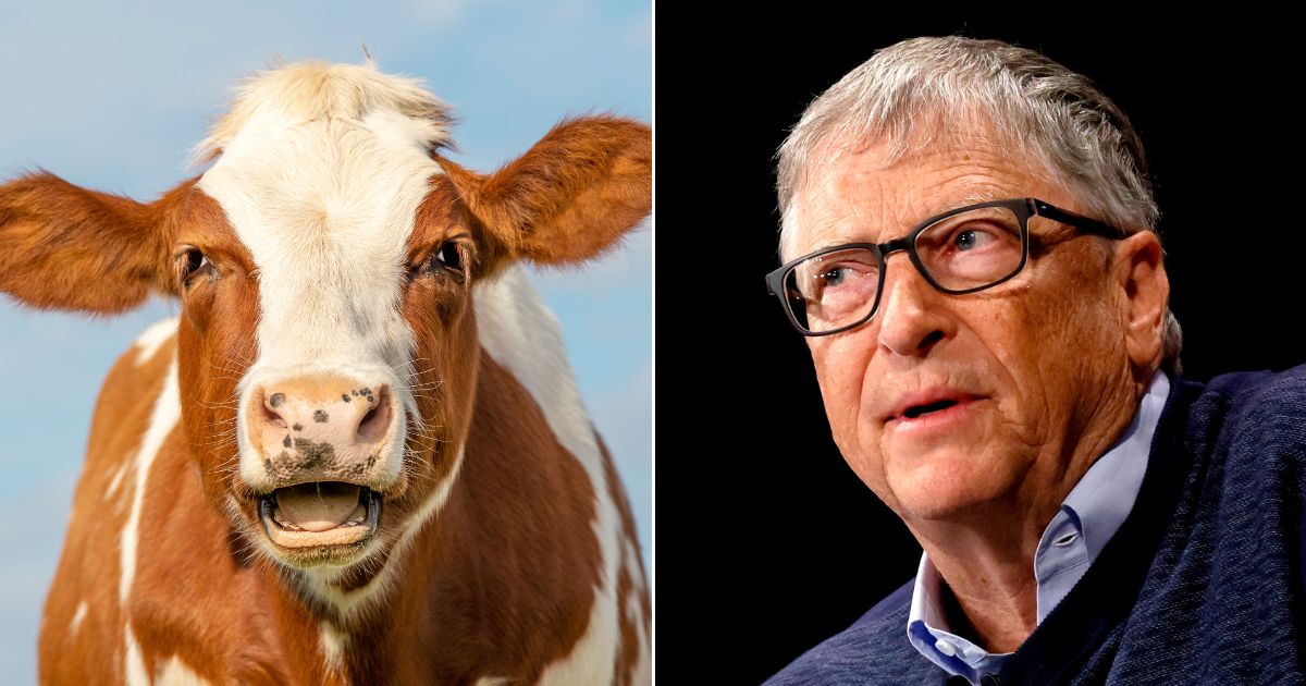 A company controlled by Microsoft co-founder Bill Gates, right, is putting $12 million into a venture to limit methane emissions from cow burps.