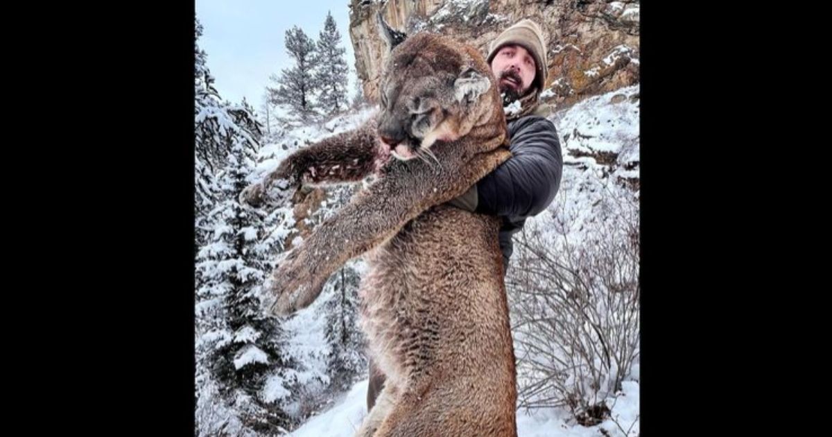 Former Denver Broncos defensive end Derek Wolfe killed a mountain lion in rural Colorado.