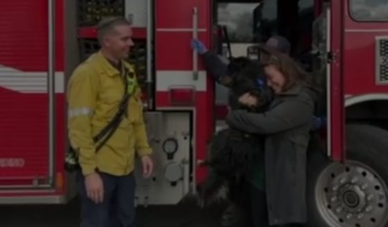 Emilie Brill was reunited with her dog Seamus after he was swept away by floodwaters in San Bernadino, California, and rescued by San Bernardino firefighters.
