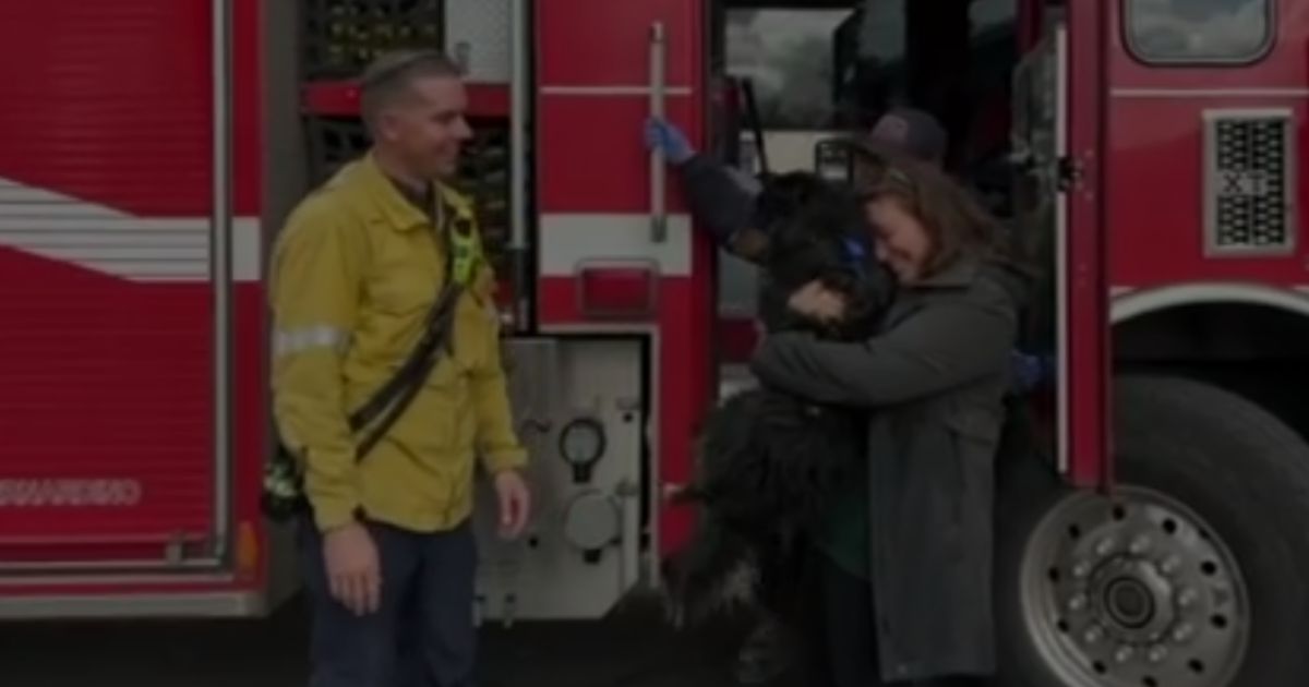 Emilie Brill was reunited with her dog Seamus after he was swept away by floodwaters in San Bernadino, California, and rescued by San Bernardino firefighters.