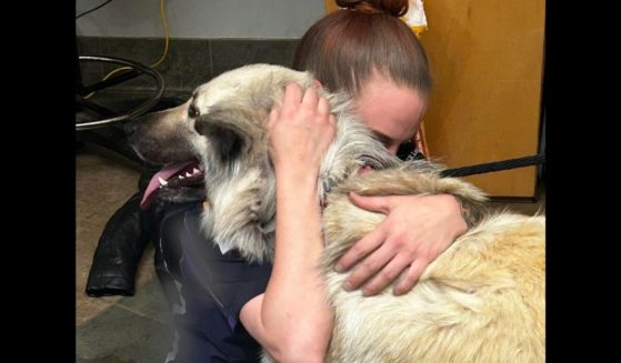 Lilo is reunited with her owner at the McKamey Animal Shelter in Chattanooga, Tennessee.