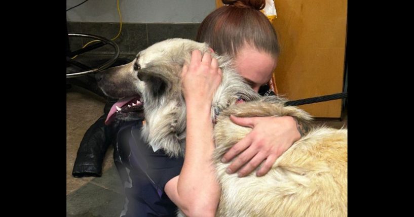 Lilo is reunited with her owner at the McKamey Animal Shelter in Chattanooga, Tennessee.