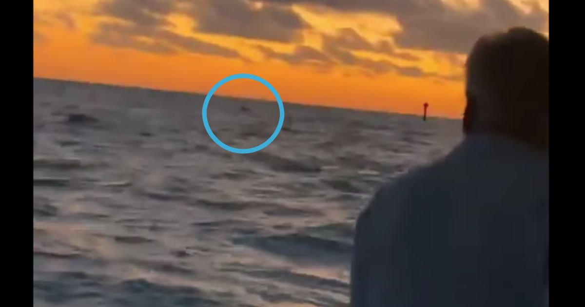 Dylan Gartenmayer was lost at sea, but his knowledge of the ocean kept him alive until his family could rescue him. The rescue was caught on camera, and Gartenmayer, who made a makeshift raft, is circled on the horizon.
