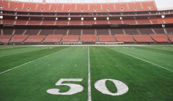 The above image is of the 50-yard line on a football field.