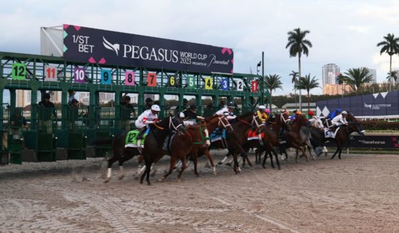 The horses leave the gate at the 2023 Pegasus World Cup presented by Baccarat at Gulfstream Park on Saturday in Hallandale, Florida.
