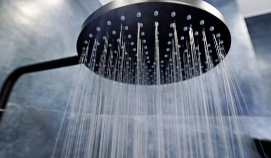 A shower head is seen in this stock image.