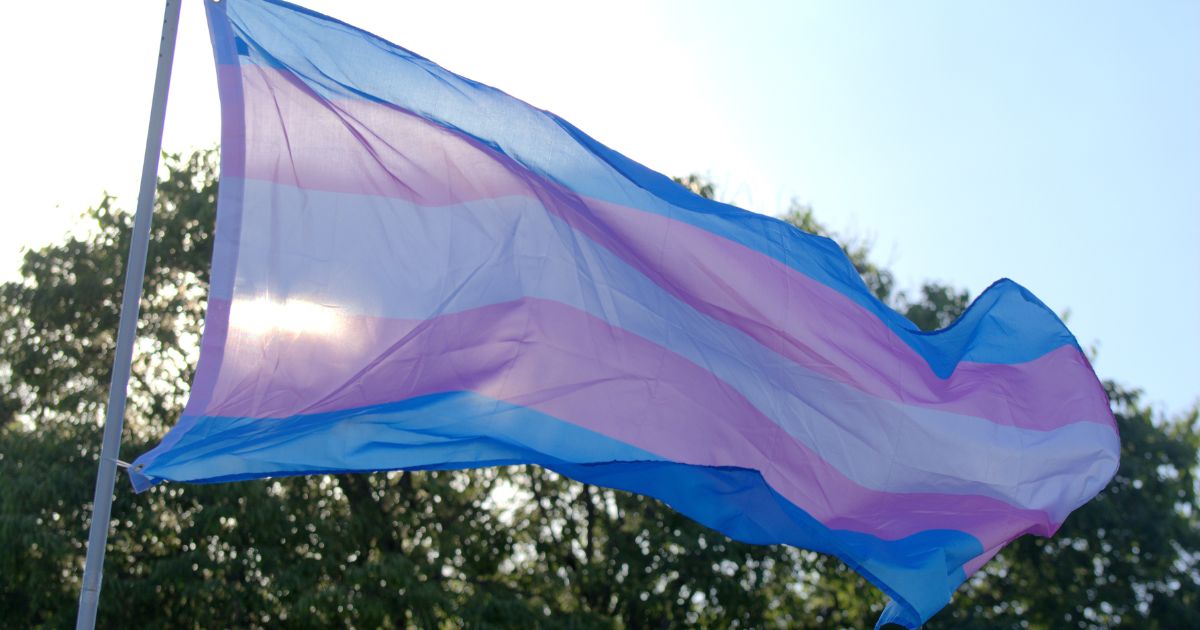 The above image is of a transgender flag.