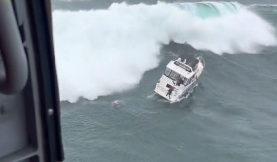 After a man allegedly stole a boat, the vessel was hit by a huge wave. Fortunately, the Coast Guard was able to recuse the man.
