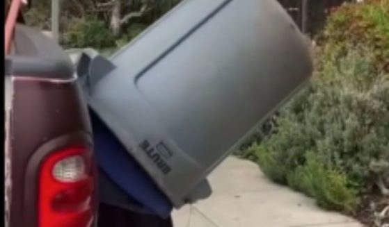 In a video posted to TikTok on Sunday, a masked woman yells at a landscaper, who is recording the interaction, then hides in a trashcan as she continues speaking with the man.