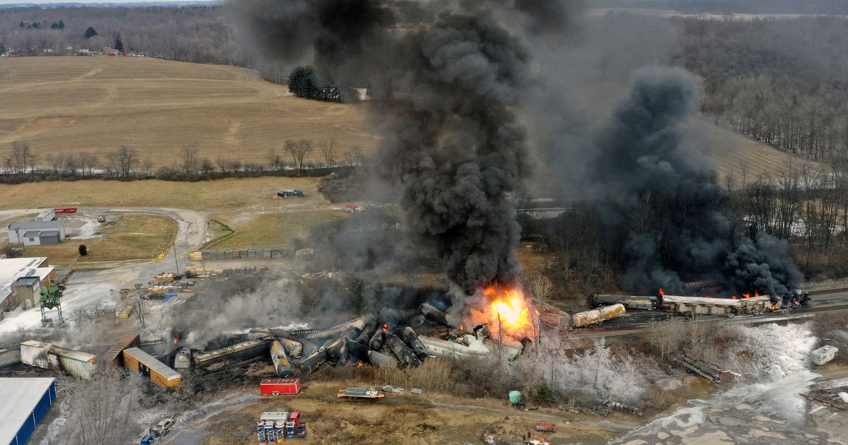 On Feb. 3, a Norfolk Southern freight train derailed outside of East Palestine, Ohio, while carrying toxic materials, which firefighters allowed to burn off and which many feel have polluted the water, wildlife, and air around the the city.