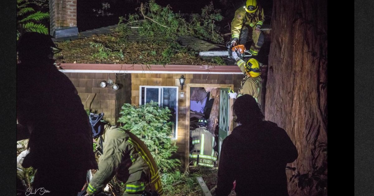 Firefighters had to be careful that the ceiling did not collapse on the trapped child while they removed the large tree branch that had pinned the boy down.