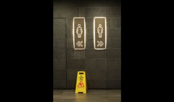 This stock image shows a pair of signs denoting a male and female bathroom.