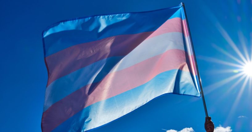 The above image is of a transgender flag.