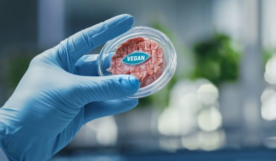 The above stock image is of lab grown meat.