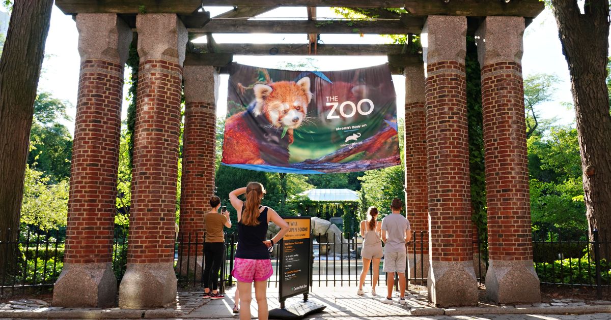 People look over a fence at the Central Park Zoo in New York City.