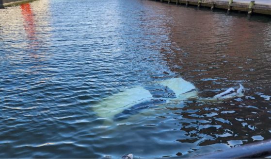 On Wednesday, a sous chef dove into the Inner Harbor in Baltimore, Maryland, to save a driver who had driven their car into the water.