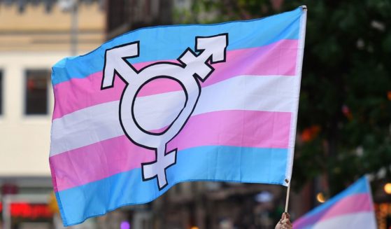 A person holds a transgender pride flag during a rally to mark the 50th anniversary of the Stonewall Riots in New York on June 28, 2019.