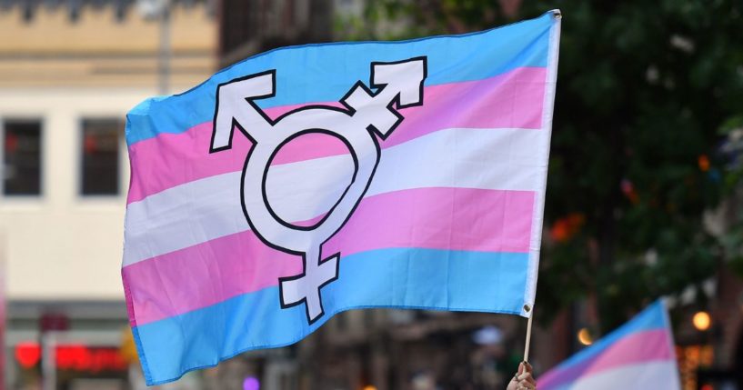 A person holds a transgender pride flag during a rally to mark the 50th anniversary of the Stonewall Riots in New York on June 28, 2019.