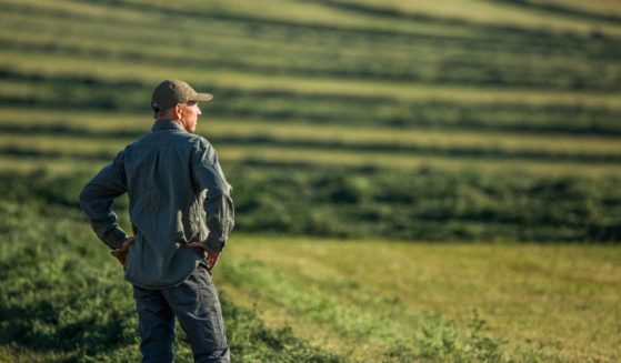 A man stands in a field in the above stock image.
