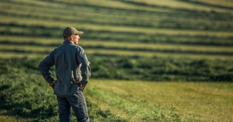 A man stands in a field in the above stock image.