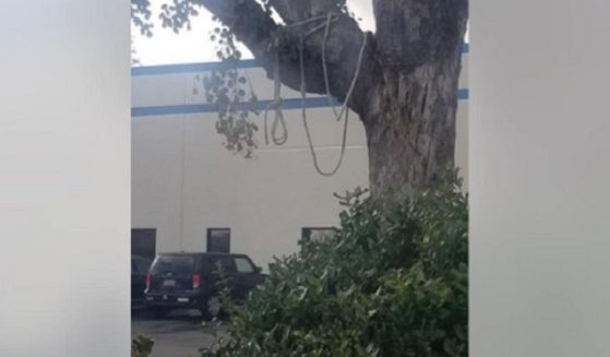 Pictured is the tree and a rope with a "noose" tied in it that caused a scare at a medical office in Gilroy, California.