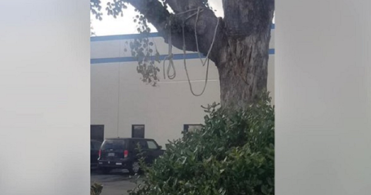 Pictured is the tree and a rope with a "noose" tied in it that caused a scare at a medical office in Gilroy, California.