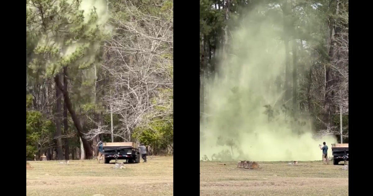 Workers in a North Carolina town unleashed a massive wave of pollen when felling a tree last week.
