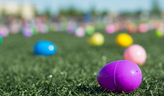 A stock photo shows plastic Easter eggs lying in the grass before an egg hunt.