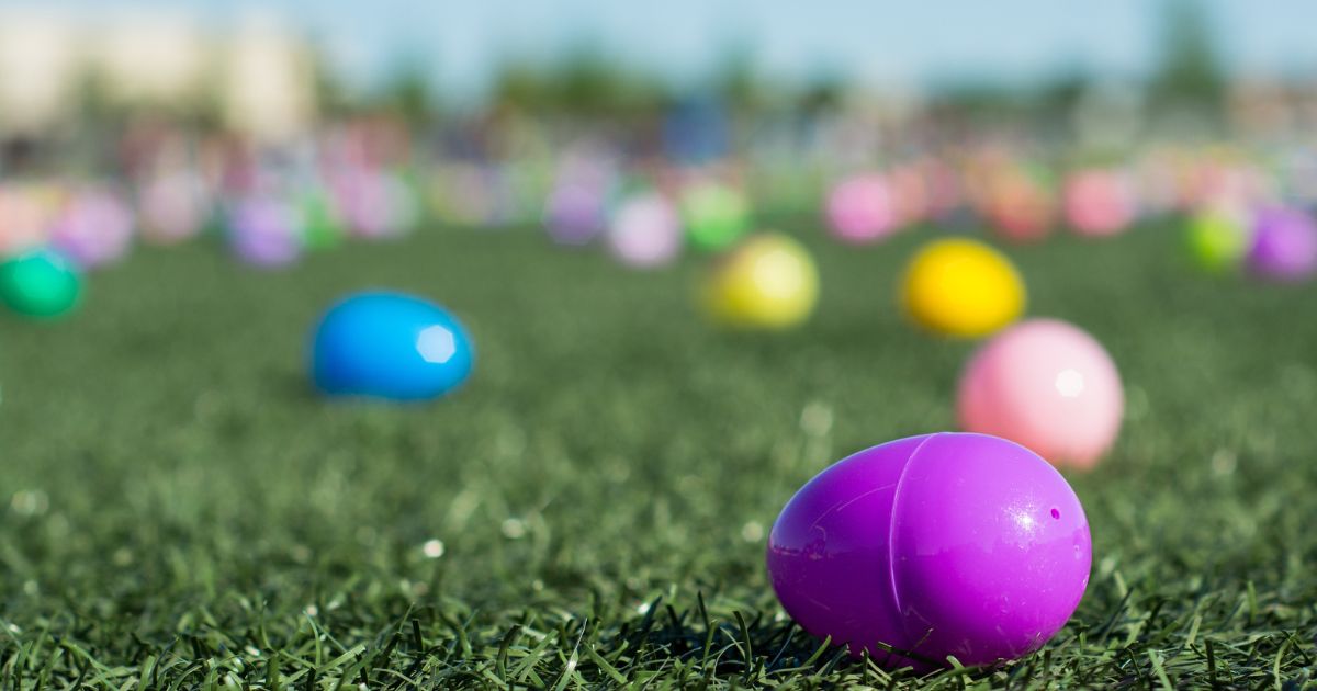 A stock photo shows plastic Easter eggs lying in the grass before an egg hunt.