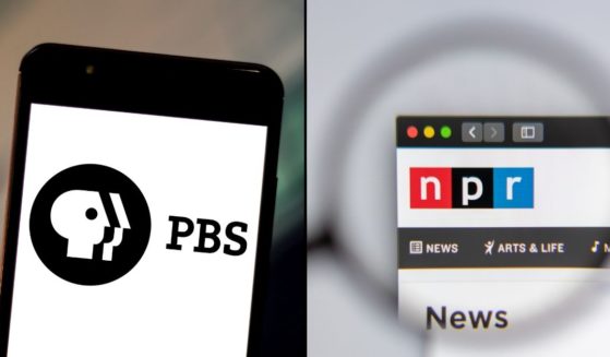The logos of PBS and NPR are seen in the above stock images.