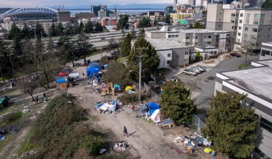 This photo provides an aerial view of a homeless encampment - known as the "Dope Slope" - in Seattle, Washington, on March 12, 2022.