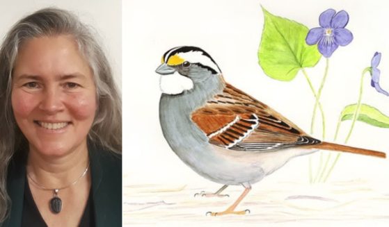 Scientific American editor-in-chief Laura Helmuth was mocked for a tweet about white-throated sparrows.
