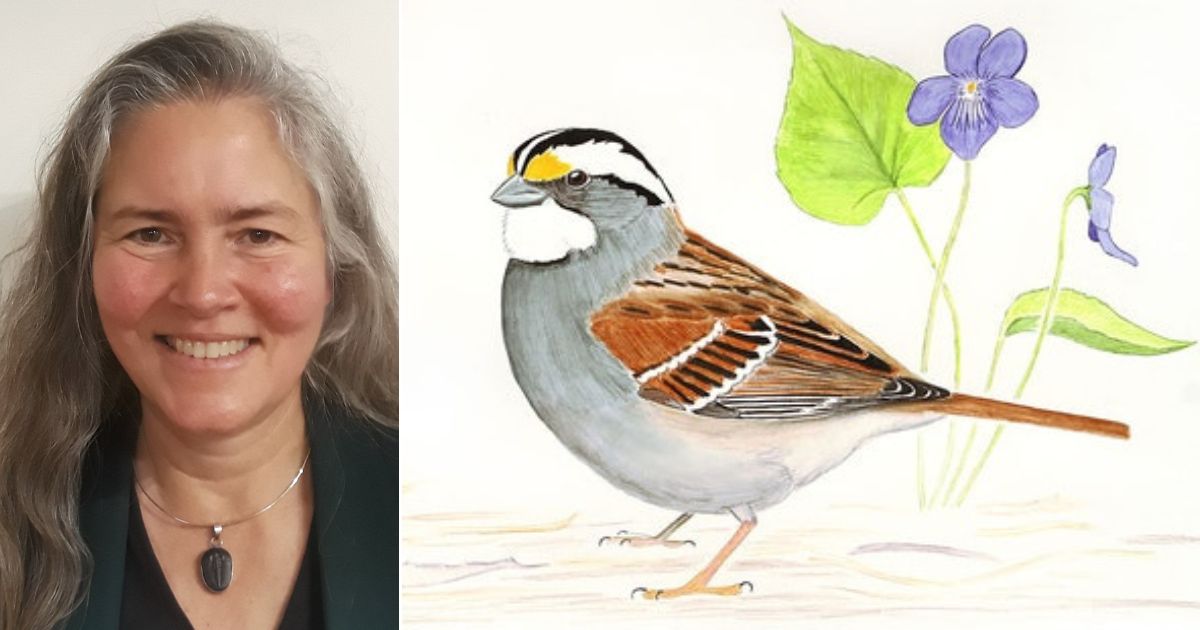 Scientific American editor-in-chief Laura Helmuth was mocked for a tweet about white-throated sparrows.
