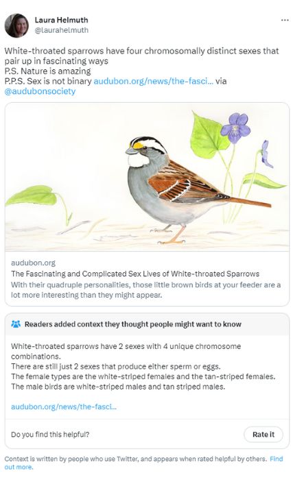 Scientific American editor wrong about sparrow sexes