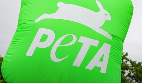 The PETA logo is pictured during a protest at the G7 agricultural ministers meeting in Stuttgart, Germany, on May 13, 2022.