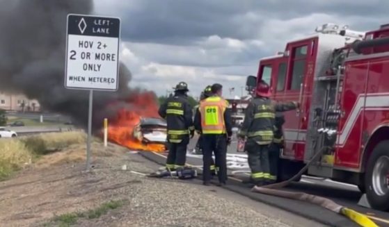 Firefighters watch a Tesla burning on the side of the highway