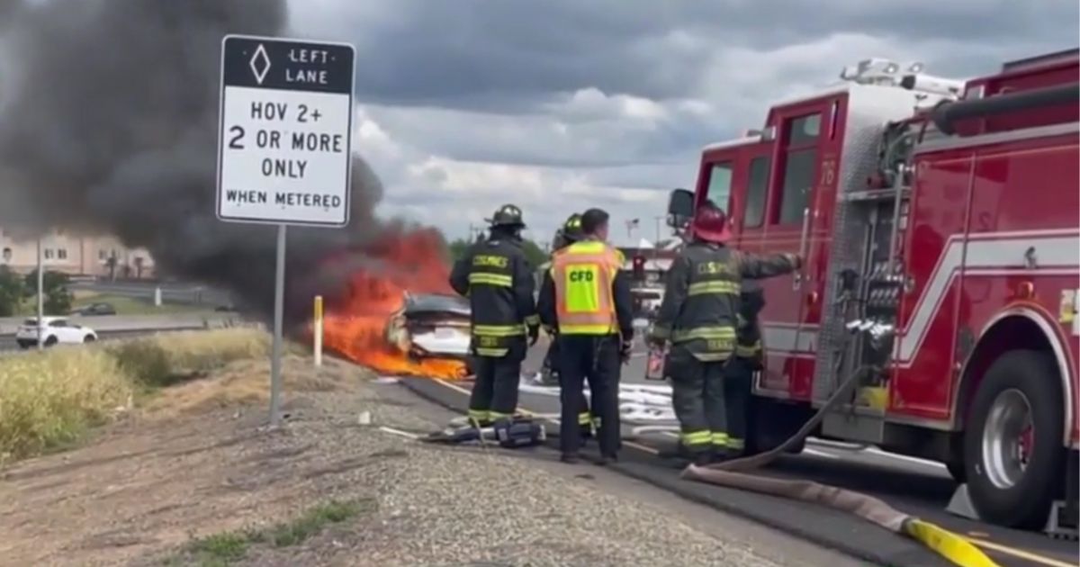 Firefighters watch a Tesla burning on the side of the highway