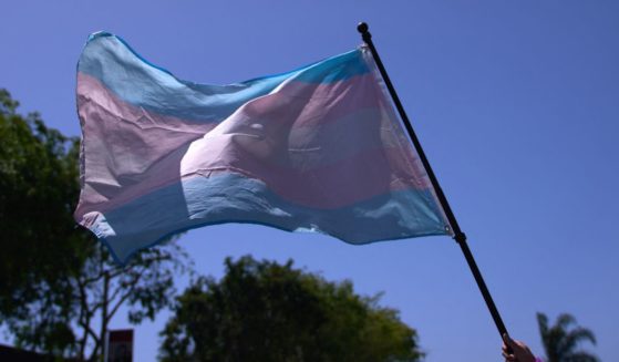 A transgender pride flag is held above the crowd of LGBT activists during the Los Angeles LGBT Center's "Drag March LA: The March on Santa Monica Boulevard", in West Hollywood, California.