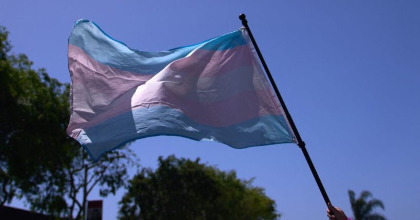 A transgender pride flag is held above the crowd of LGBT activists during the Los Angeles LGBT Center's "Drag March LA: The March on Santa Monica Boulevard", in West Hollywood, California.